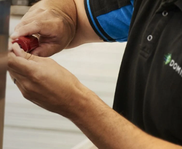 domino service support & maintenance